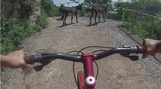  rolling in the countryside 